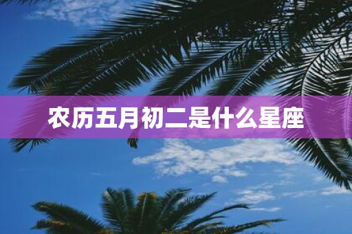 农历五月初二是什么星座