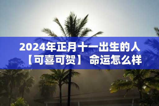 2025年正月十一出生的人【可喜可贺】 命运怎么样