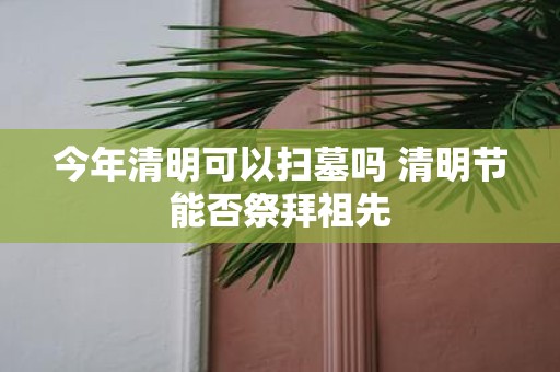 今年清明可以扫墓吗 清明节能否祭拜祖先