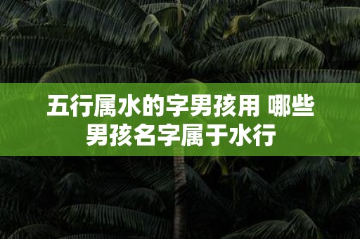 五行属水的字男孩用 哪些男孩名字属于水行