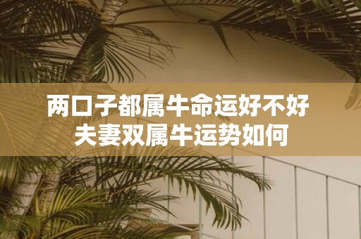 两口子都属牛命运好不好 夫妻双属牛运势如何