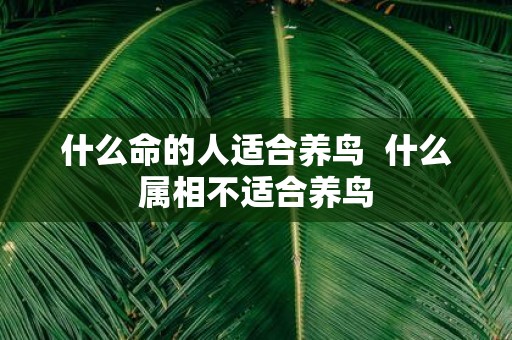 什么命的人适合养鸟 什么属相不适合养鸟