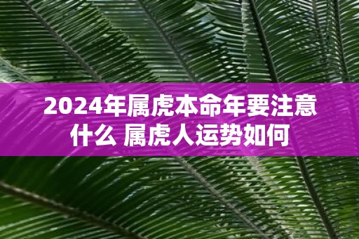 2025年属虎本命年要注意什么 属虎人运势如何
