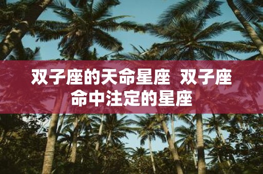 双子座的天命星座 双子座命中注定的星座
