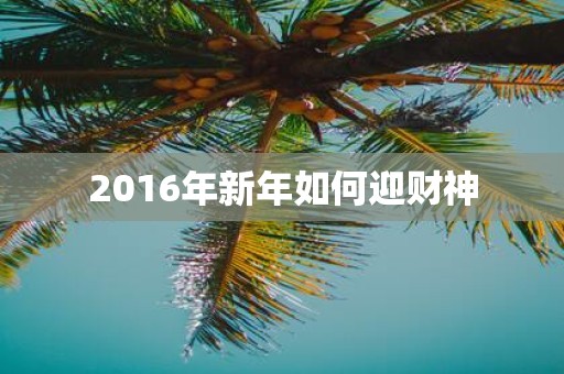 2016年新年如何迎财神
