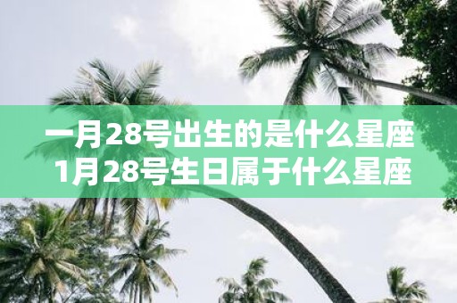 一月28号出生的是什么星座 1月28号生日属于什么星座