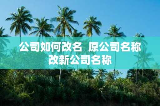 公司如何改名 原公司名称改新公司名称