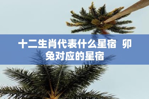 十二生肖代表什么星宿 卯兔对应的星宿