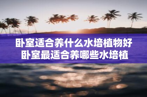 卧室适合养什么水培植物好 卧室最适合养哪些水培植物