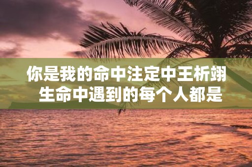 你是我的命中注定中王析翊 生命中遇到的每个人都是命中注定