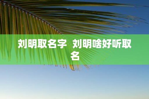 刘明取名字 刘明啥好听取名