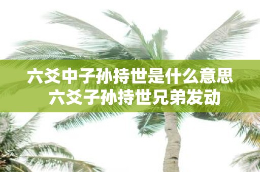 六爻中子孙持世是什么意思 六爻子孙持世兄弟发动