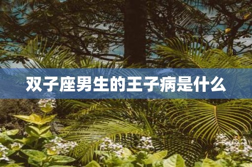 双子座男生的王子病是什么