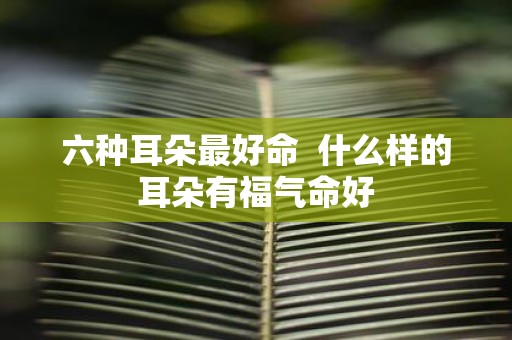 六种耳朵最好命 什么样的耳朵有福气命好