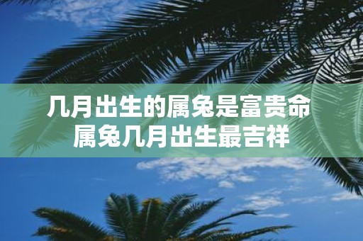 几月出生的属兔是富贵命 属兔几月出生最吉祥