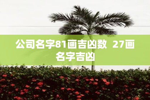 公司名字81画吉凶数 27画名字吉凶