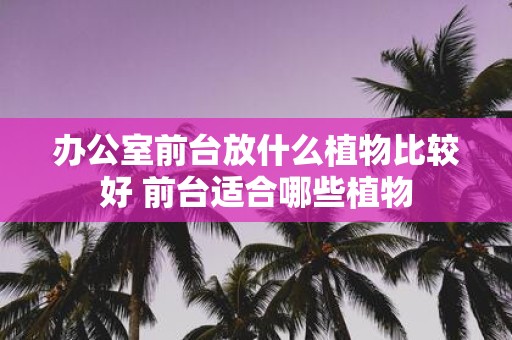 办公室前台放什么植物比较好 前台适合哪些植物