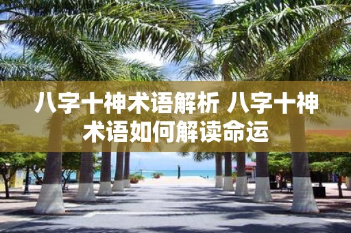 八字十神术语解析 八字十神术语如何解读命运