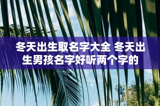 冬天出生取名字大全 冬天出生男孩名字好听两个字的