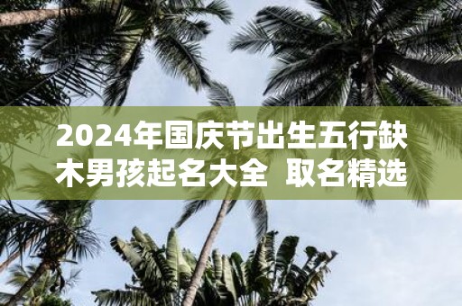 2025年国庆节出生五行缺木男孩起名大全 取名精选字