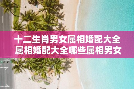 十二生肖男女属相婚配大全 属相婚配大全哪些属相男女不合适