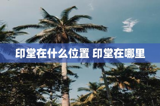 印堂在什么位置 印堂在哪里