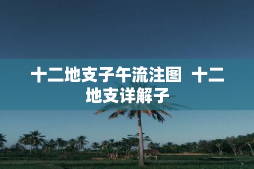 十二地支子午流注图 十二地支详解子
