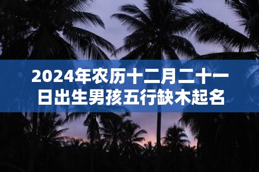 2025年农历十二月二十一日出生男孩五行缺木起名