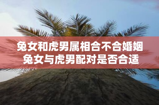 兔女和虎男属相合不合婚姻 兔女与虎男配对是否合适