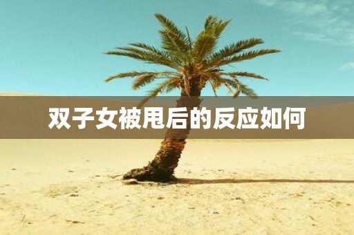 双子女被甩后的反应如何