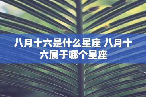 八月十六是什么星座 八月十六属于哪个星座