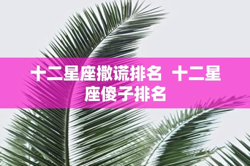 十二星座撒谎排名 十二星座傻子排名