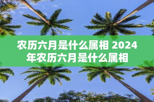 农历六月是什么属相 2025年农历六月是什么属相