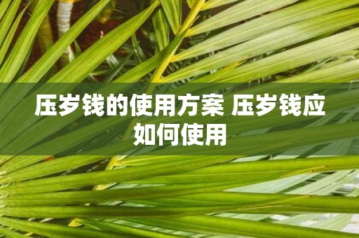 压岁钱的使用方案 压岁钱应如何使用