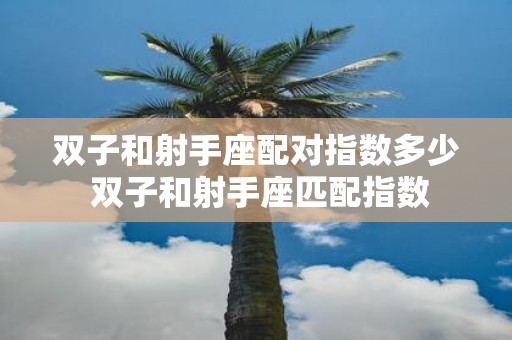 双子和射手座配对指数多少 双子和射手座匹配指数
