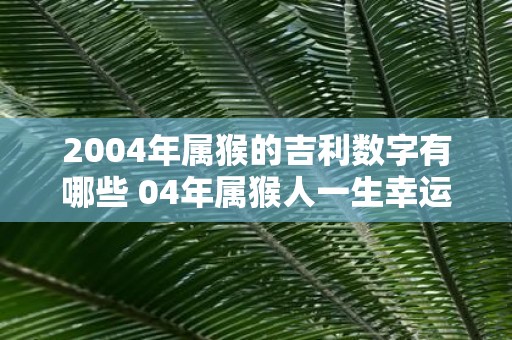 2004年属猴的吉利数字有哪些 04年属猴人一生幸运数字