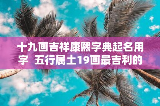 十九画吉祥康熙字典起名用字 五行属土19画最吉利的字