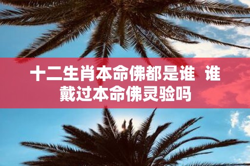 十二生肖本命佛都是谁 谁戴过本命佛灵验吗
