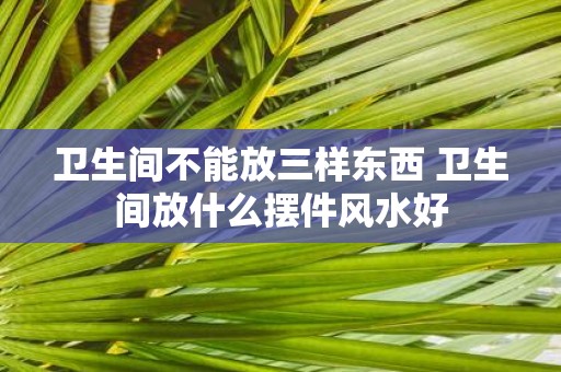 卫生间不能放三样东西 卫生间放什么摆件风水好