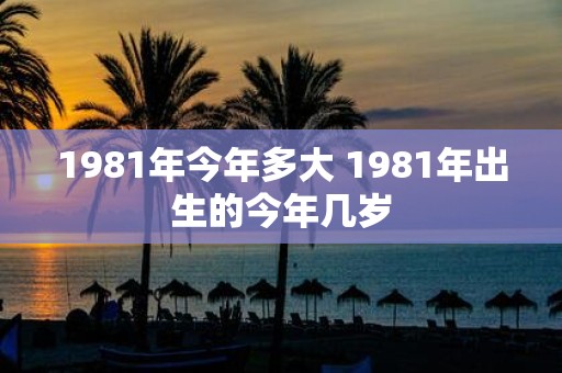 1981年今年多大 1981年出生的今年几岁