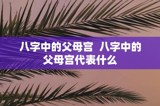 八字中的父母宫 八字中的父母宫代表什么