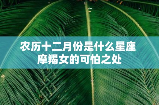 农历十二月份是什么星座 摩羯女的可怕之处
