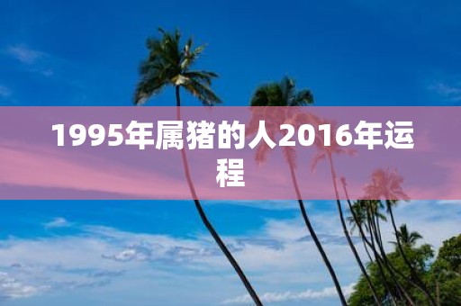 1995年属猪的人2016年运程
