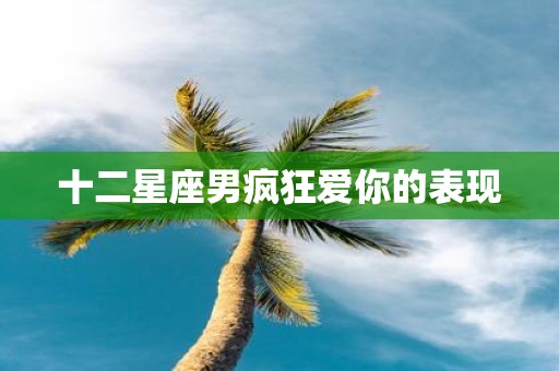 十二星座男疯狂爱你的表现