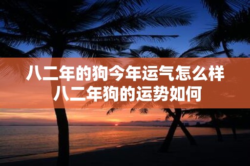 八二年的狗今年运气怎么样 八二年狗的运势如何