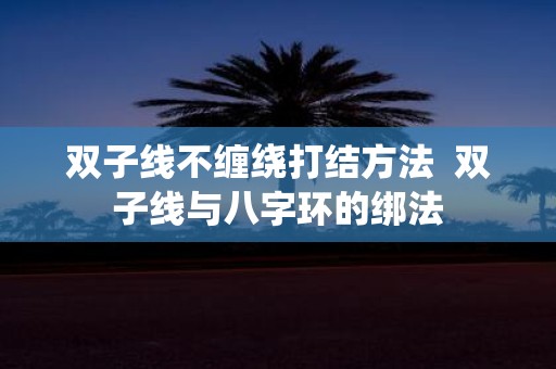 双子线不缠绕打结方法 双子线与八字环的绑法