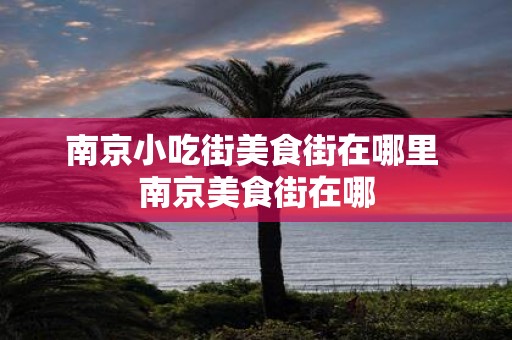 南京小吃街美食街在哪里 南京美食街在哪