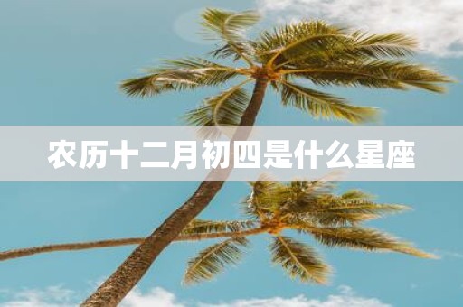 农历十二月初四是什么星座