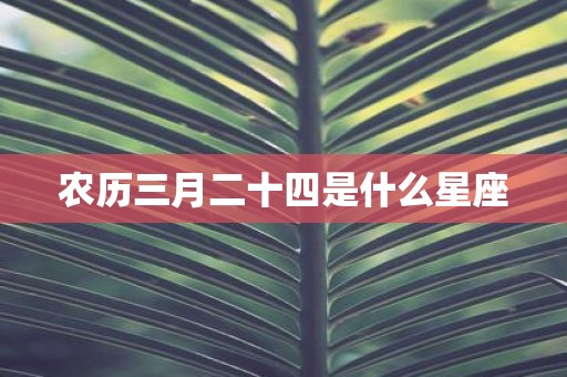 农历三月二十四是什么星座