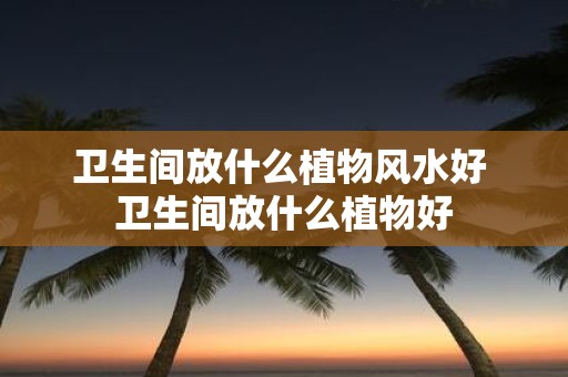 卫生间放什么植物风水好 卫生间放什么植物好